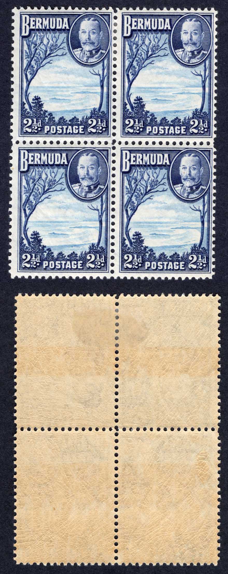 Bermuda SG102 2 1/2d light and Deep Blue (2 x U/M)