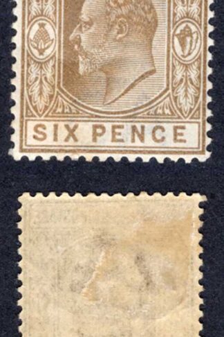 Bahamas SG66 6d Brown Wmk CA M/M Cat 9 pounds
