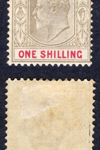 Bahamas SG68 1/- Brownish Grey and Carmine Wmk CA M/M Cat 22 pounds