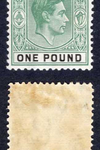 Bahamas SG157 One Pound Deep Grey-green and Black (Thick paper) M/M Cat 250 pounds