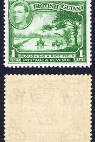 British Guiana SG308 1c Yellow Green M/M Cat 23 pounds