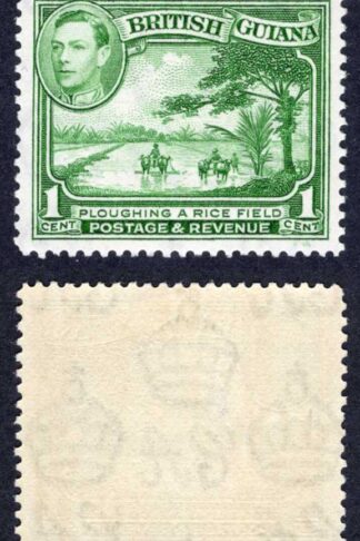 British Guiana SG308 1c Yellow Green M/M Cat 23 pounds