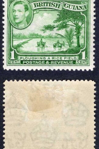 British Guiana SG308 1c Yellow Green M/M Cat 23 pounds