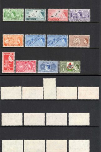 Bermuda SG135/50 Set U/M Cat 120 pounds