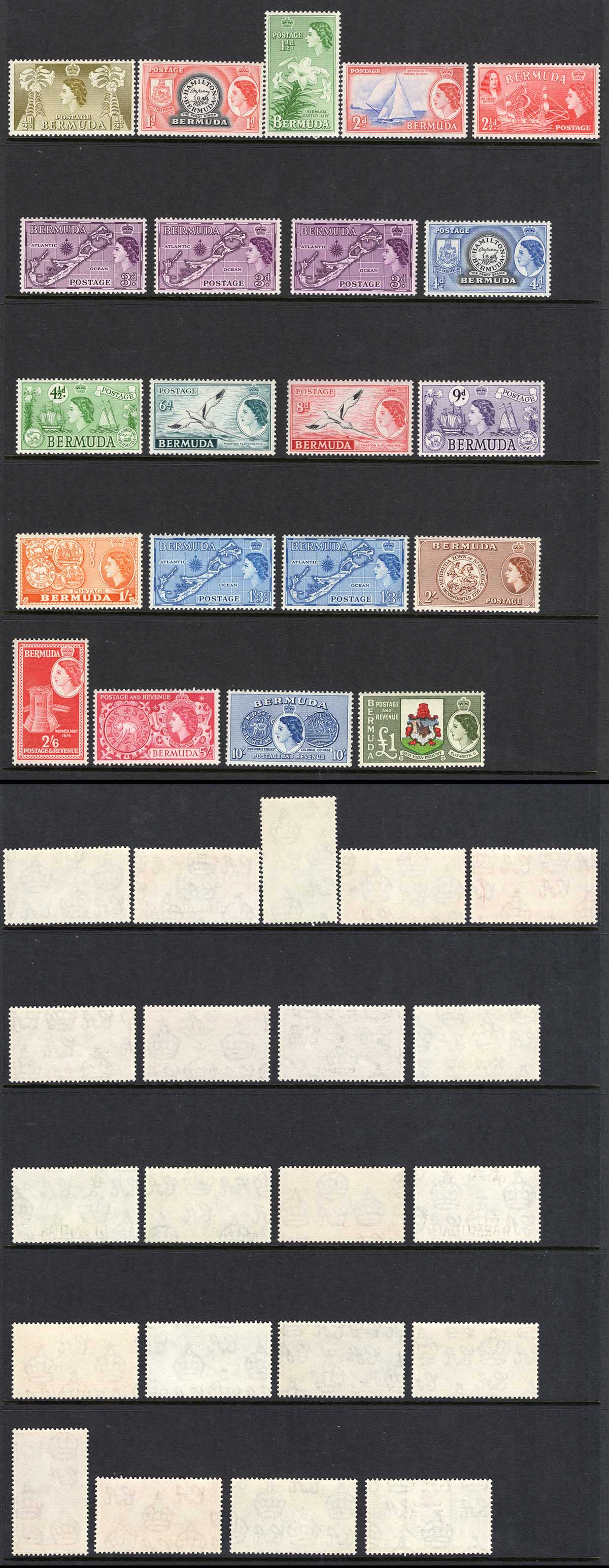 Bermuda SG135/50 Set U/M Cat 120 pounds