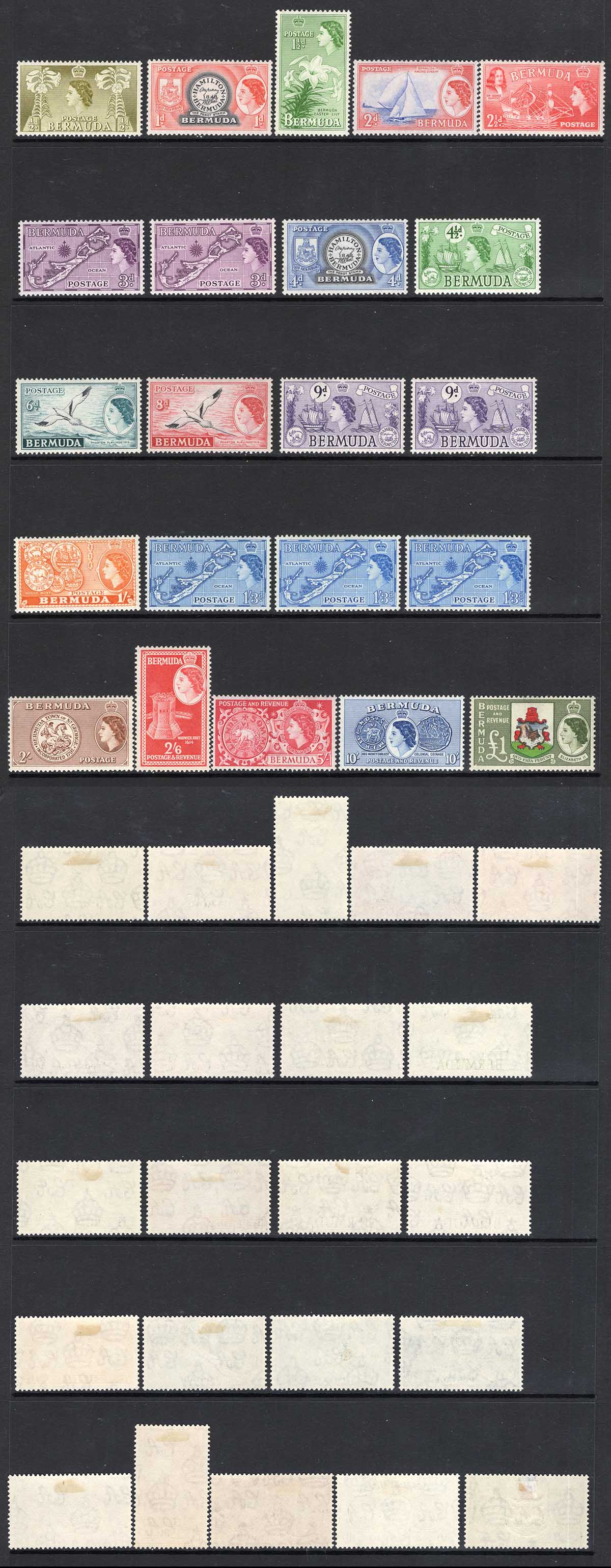 Bermuda SG135/50 Set M/M Cat 120 pounds