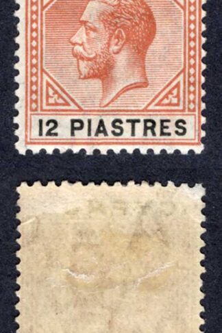 Cyprus SG82 12pi Chestnut and Black M/M Cat 32 pounds