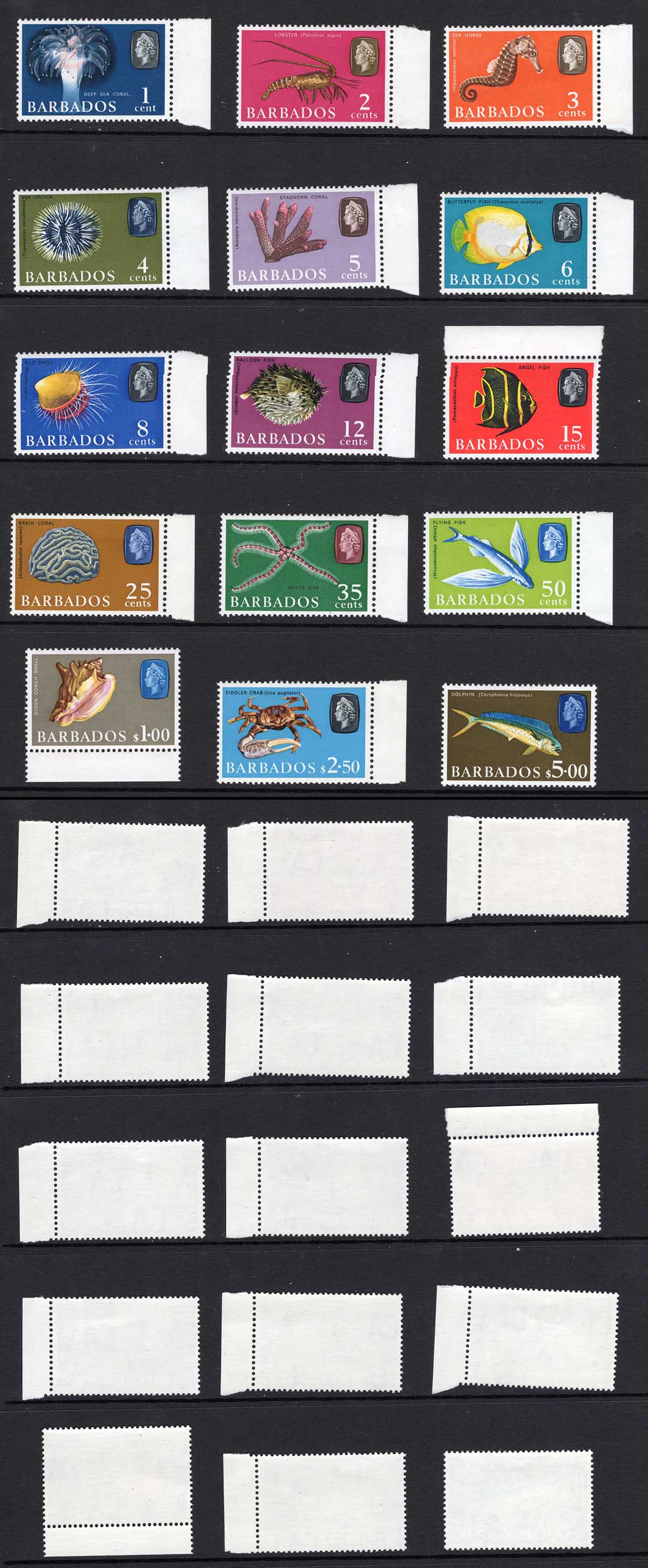 Barbados Marine Life set with different watermarks U/M