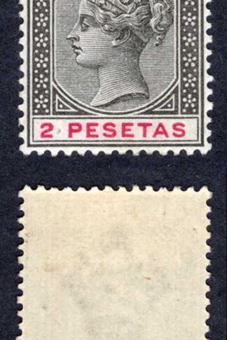 Gibraltar SG32 2p Black and carmine M/M Cat 15 pounds