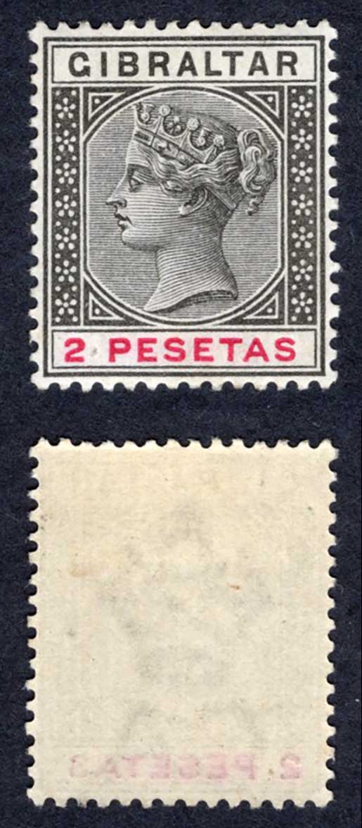 Gibraltar SG32 2p Black and carmine M/M Cat 15 pounds