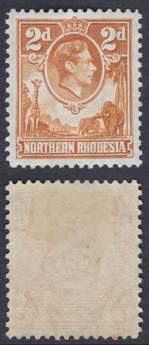Northern Rhodesia SG31 2d Yellow-brown M/M Cat 50 pounds