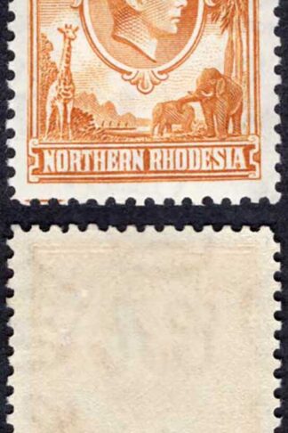 Northern Rhodesia SG31 2d Yellow-brown U/M Cat 50 pounds