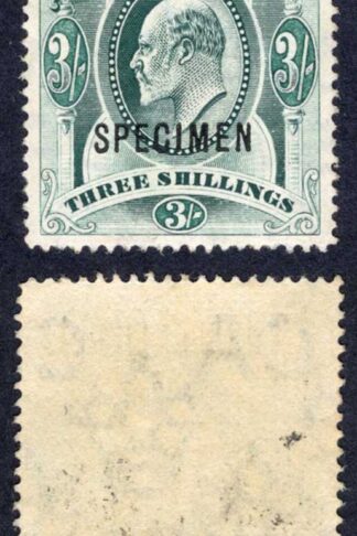 Falkland Is SG49s KEVII 3/- Green opt SPECIMEN M/M