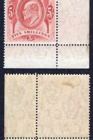 Falkland Is SG50 5/- Red Corner Marginal example M/M Cat 225 pounds