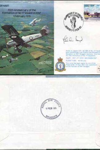 B16b 70th Anniv of the Formation of No.17 Squadron Pilot Signed (B)