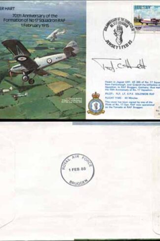 B16b 70th Anniv of the Formation of No.17 Squadron Pilot Signed (D)