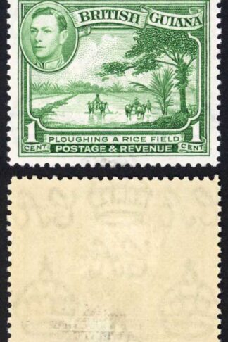 British Guiana SG308 1938-52 KGVI 1c Yellow-green Wmk Mult Script CA P12.5 M/M