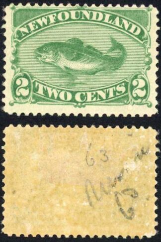 Newfoundland 1896 Re-issue SG64 2c green Mint (hinge remainder) Fresh Stamp