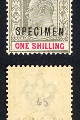 Bahamas SG67 1902 1/- Grey-black and Carmine wmk Crown CA opt SPECIMEN M/Mint