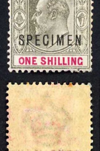 Bahamas SG67 1902 1/- Grey-black and Carmine wmk Crown CA opt SPECIMEN PAIR