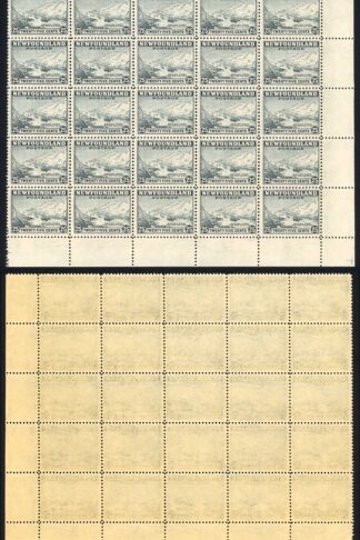 Newfoundland SG288 25c slate U/M Block of 25 (gum a little brown) Cat 275