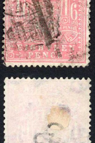 Victoria SG267 1/6 pink (Thin) Cat 38 pounds