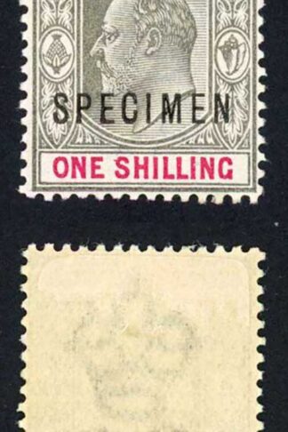 Bahamas SG67s 1/- Opt SPECIMEN M/M
