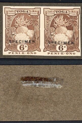 Tonga SG 47 1922 6d chocolate Coral IMPERF printer sample Pair Type DS1