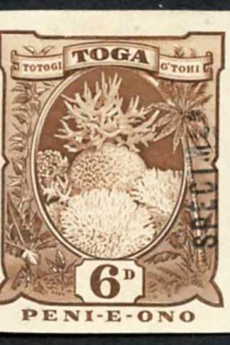 Tonga SG47 6d Chocolate Imperf Printers Sample Type DS3 Specimen (unrecorded)
