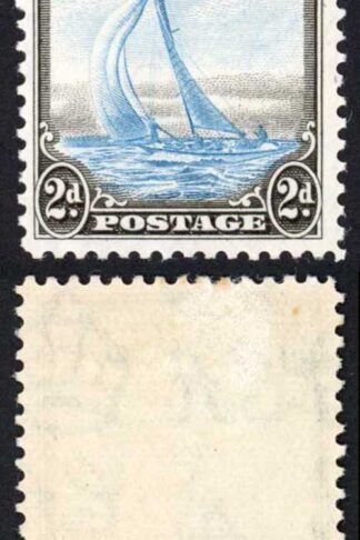Bermuda SG101 2d Black and Pale Blue M/M
