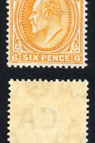 Falkland Is SG47 6d orange fine M/M Cat 45 pounds