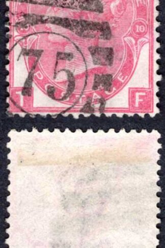 SG103 3d Rose Plate 10 Cat 150 pounds