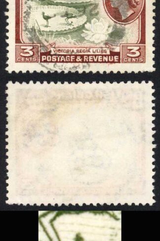 British Guiana SG333b 3c Clubbed Foot variety Fine used Listed but not priced u