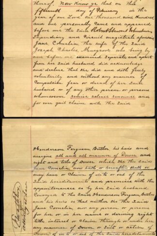 Bahamas 1901 document bearing 1/- blue-green (2) and 1884 6d (with malformed E)