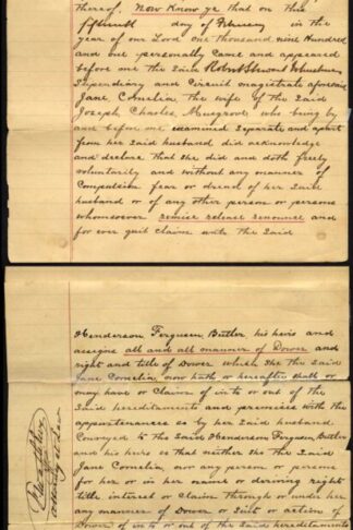 Bahamas 1901 document bearing 1/- blue-green (2) and 1884 6d (with malformed E)