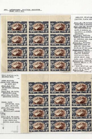 New Zealand SG581c 2.5d Perf 14 x 13.5  M/M Page with Varieties