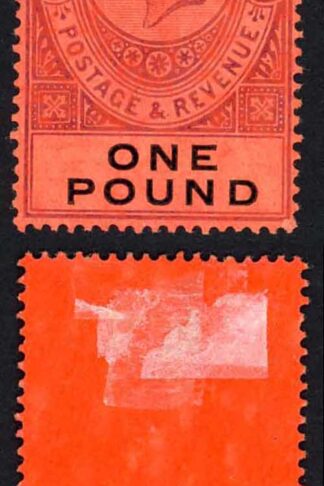 Gibraltar SG85 One Pound Dull Purple and Black/Red M/M Cat 140 pounds