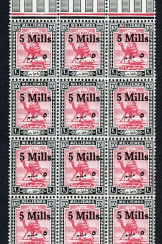 Sudan SG78c 5m on 10m Variety Short mim U/M Cat 108++ pounds