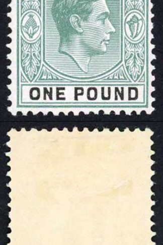 Bahamas SG157 One Pound Deep Grey-green and Black Thick paper M/M Cat 250 pounds