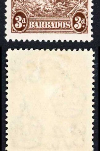 Barbados SG252 3d Brown Perf 13.5 x 13 Line over horses head M/M Cat 150 pounds