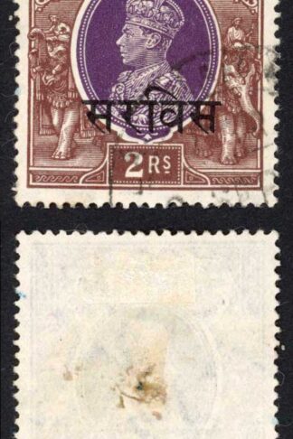 Gwalior SGO92 2r Purple and Brown (wrinkle) Cat 150 pounds