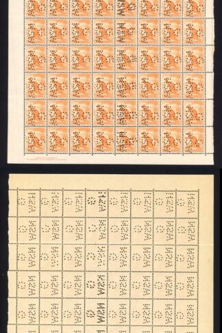 Australia 1/2d Orange No Wmk Pane Perfin GNSW the 5th column doubled