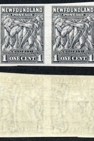 Newfoundland SG222a 1c Slate Imperf Pair U/M (MNH) Cat 48++ Pounds