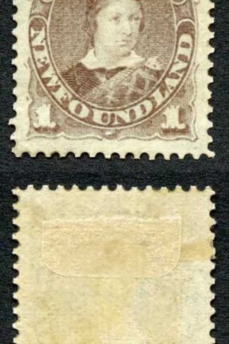 Newfoundland SG44 1c Dull Grey-brown Small part Gum Cat 60 Pounds