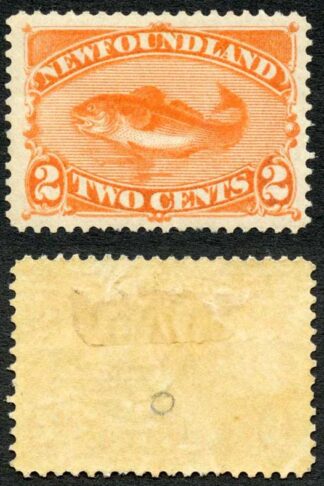 Newfoundland SG51 2c Red-orange M/M Cat 35++ Pounds