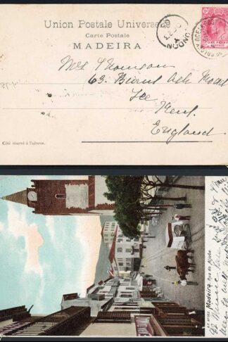 Cape of Good Hope 1905 Ocean Post Office postmark on postcard of Madeira