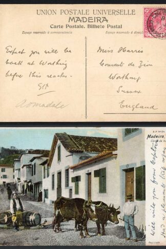 Cape of Good Hope 1907 Ocean Post Office B postmark on postcard of Madeira