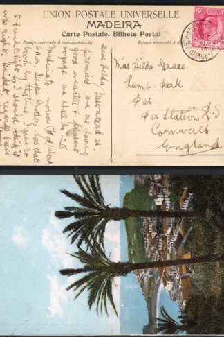 Cape of Good Hope 1907 Ocean Post Office L postmark on postcard of Madeira