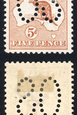Australia SGO7 5d Chestnut with LARGE OS Fine M/M Cat 300 Pounds