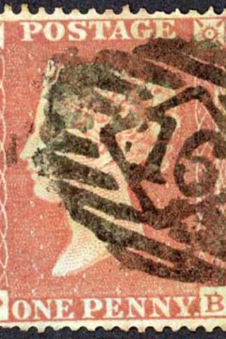 Penny Star (PB) C1 Plate 177 Corner Fault Cat 40 pounds